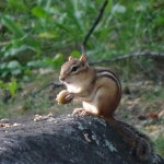 Thumbnail of related posts 024