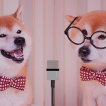ネタ