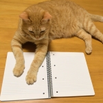 ノート